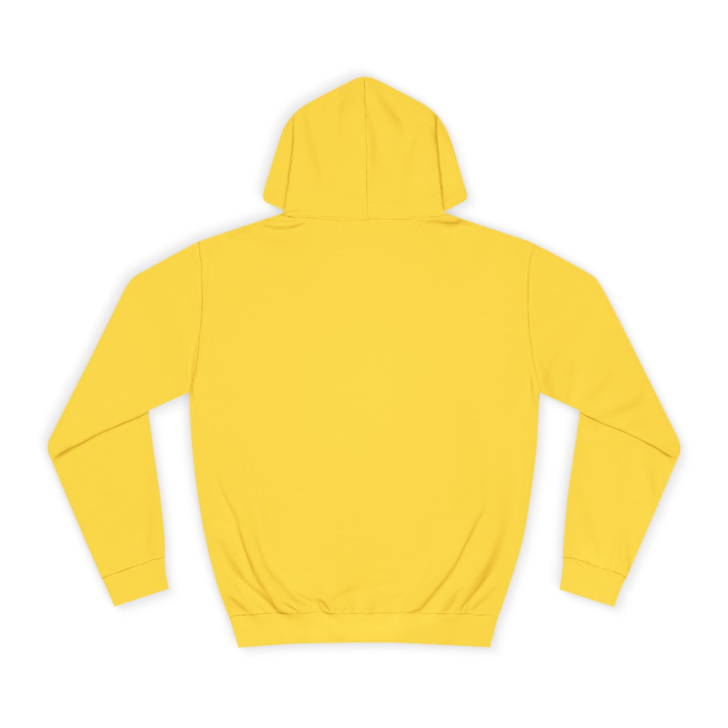 A Divine Dragon Hoodie