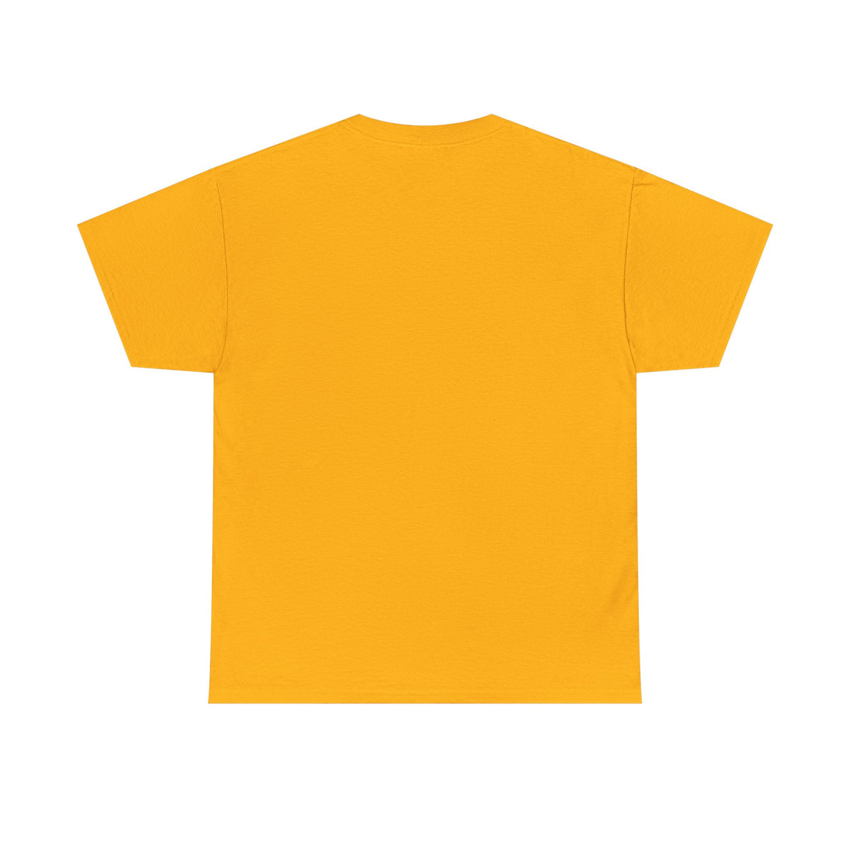 A Humorous Graphic Tee - Perfect for Casual Wear, Gifts, and Military Themes, ‘You and What Army?’ Shirt
