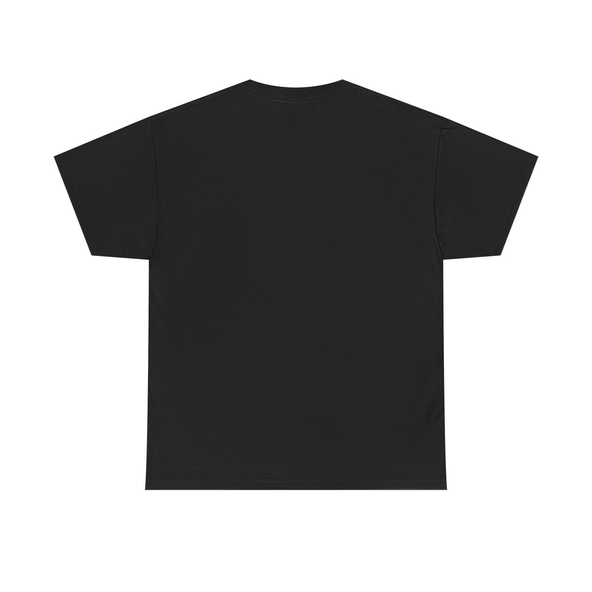 A Humorous Graphic Tee - Perfect for Casual Wear, Gifts, and Military Themes, ‘You and What Army?’ Shirt