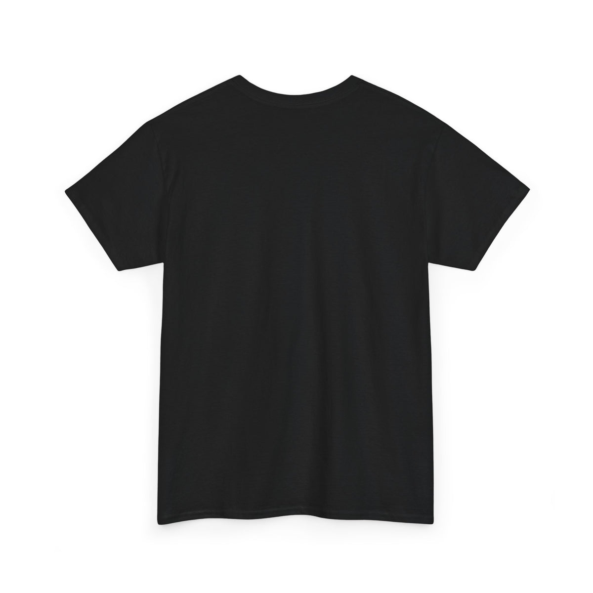 A Humorous Graphic Tee - Perfect for Casual Wear, Gifts, and Military Themes, ‘You and What Army?’ Shirt