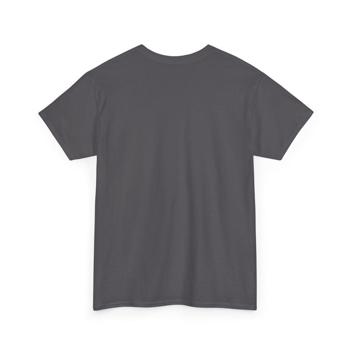 A Humorous Graphic Tee - Perfect for Casual Wear, Gifts, and Military Themes, ‘You and What Army?’ Shirt